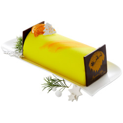Bûche glacée Exaltante sans allergènes